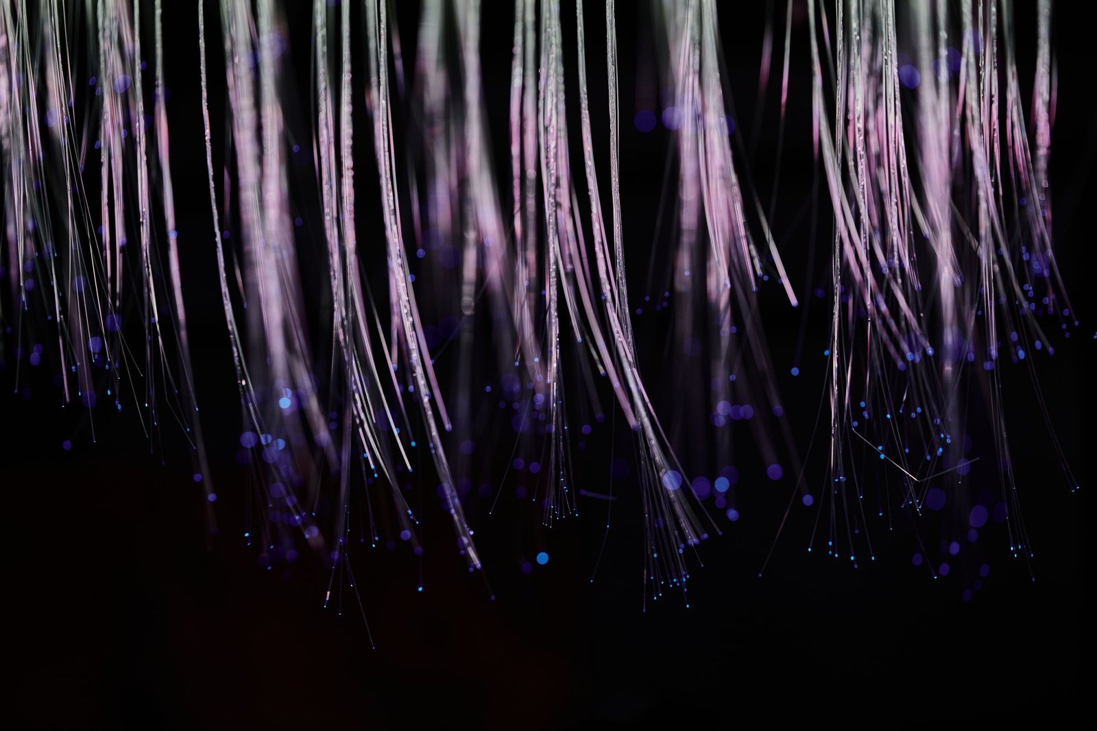 Strands of fibre optic cable glowing pale lilac against black, their tips scattering points of violet and blue light