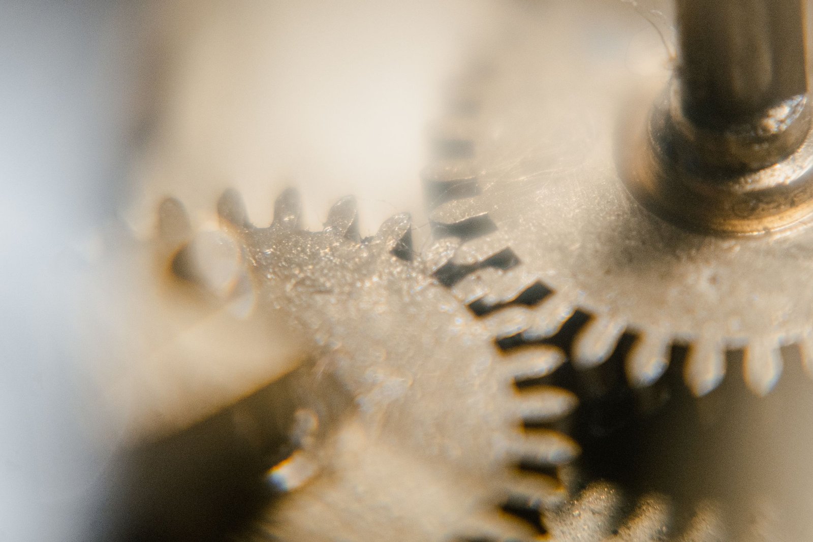 Two small clockwork gears mesh in soft, warm close-up, their fine teeth interlocking beside a polished steel spindle